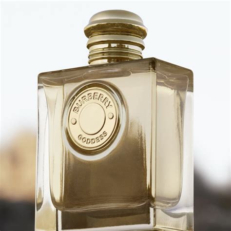 burberry profumo amaonz prime day|burberry goddess macy's.